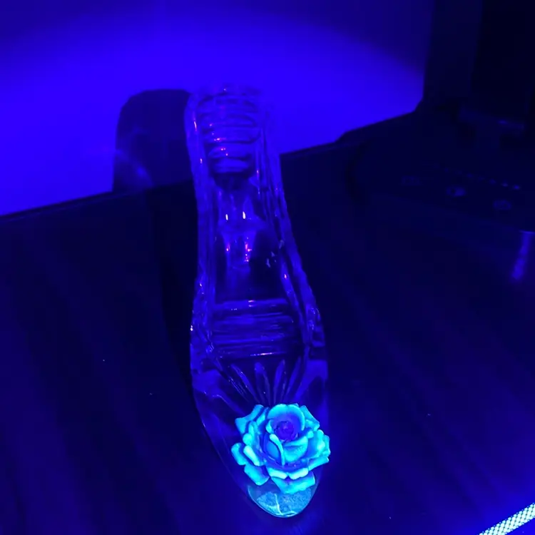 Crystal Shoe (Glow)