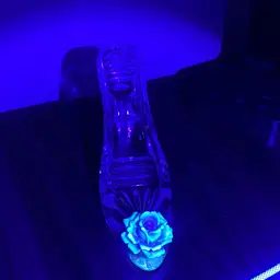 Crystal Shoe (Glow)