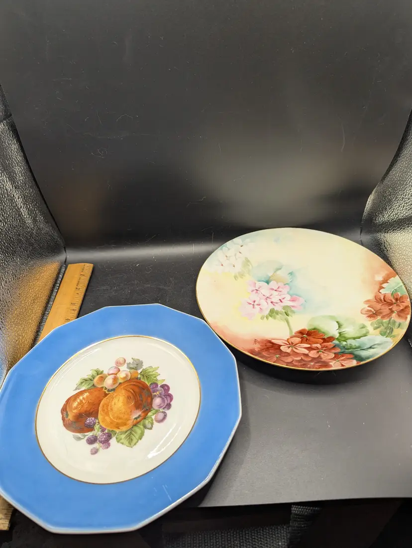 Vintage Lot of 2 Plates Hand Painted in France Marks Rosenfeld and JP Limoges