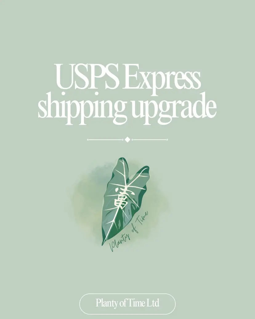 Shipping Upgrades