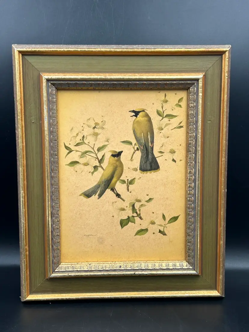 circa 19 50–60 Turner Wall Print By Rudolph Freund Waxwing Birds On Dogwood Branch
