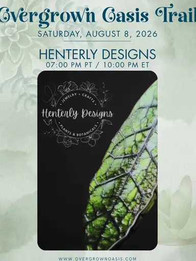 Henterly Designs