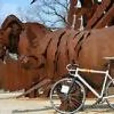 Rhinos-Bike-Orama!!!