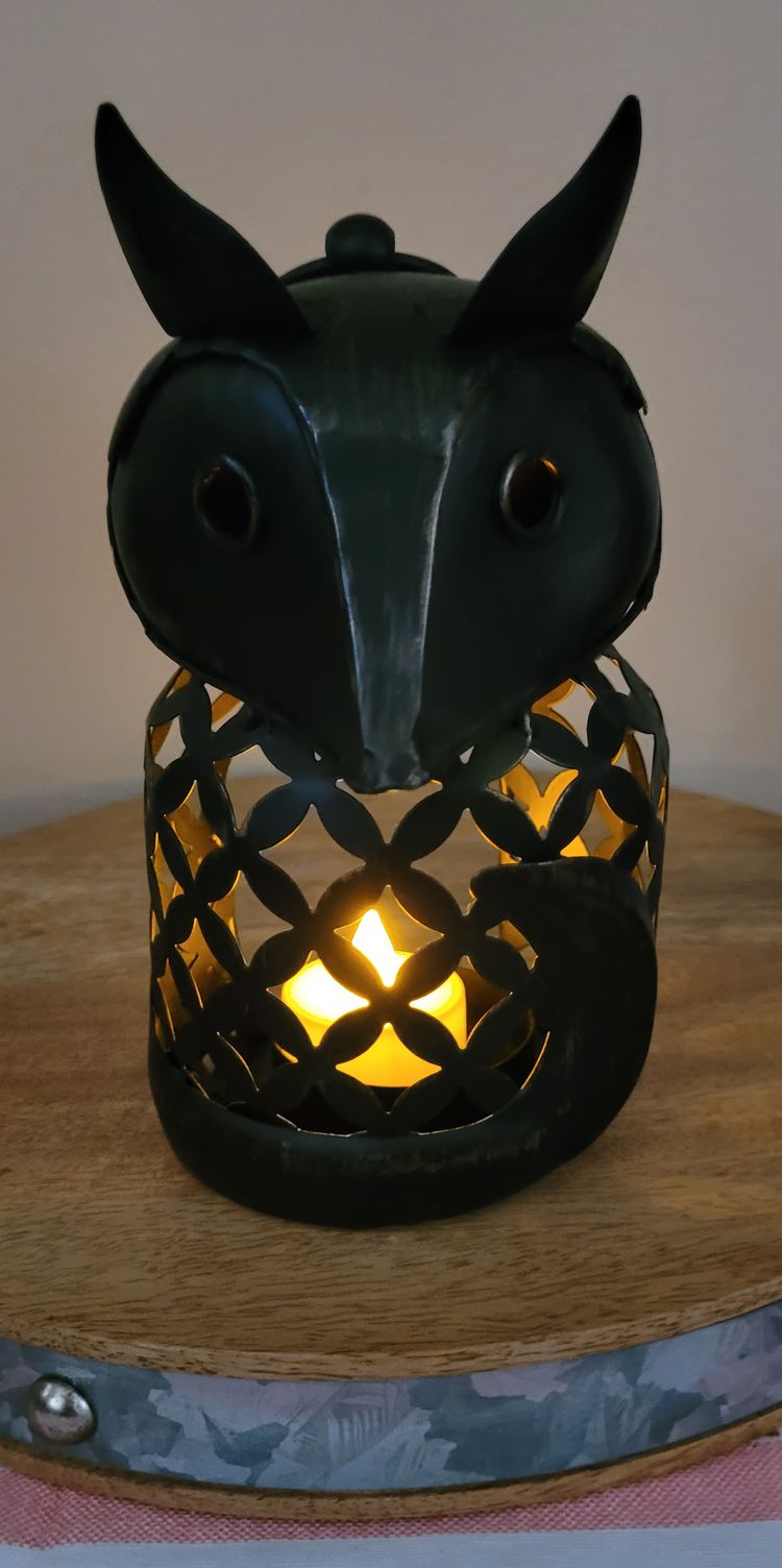 Brushed Metal Fox Lantern Figure 6.5 "