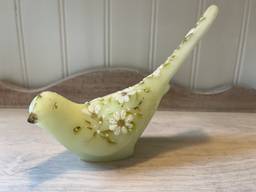 Fenton Long Tailed Bird