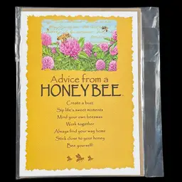 Honey Bee & Ladybug Greeting Cards