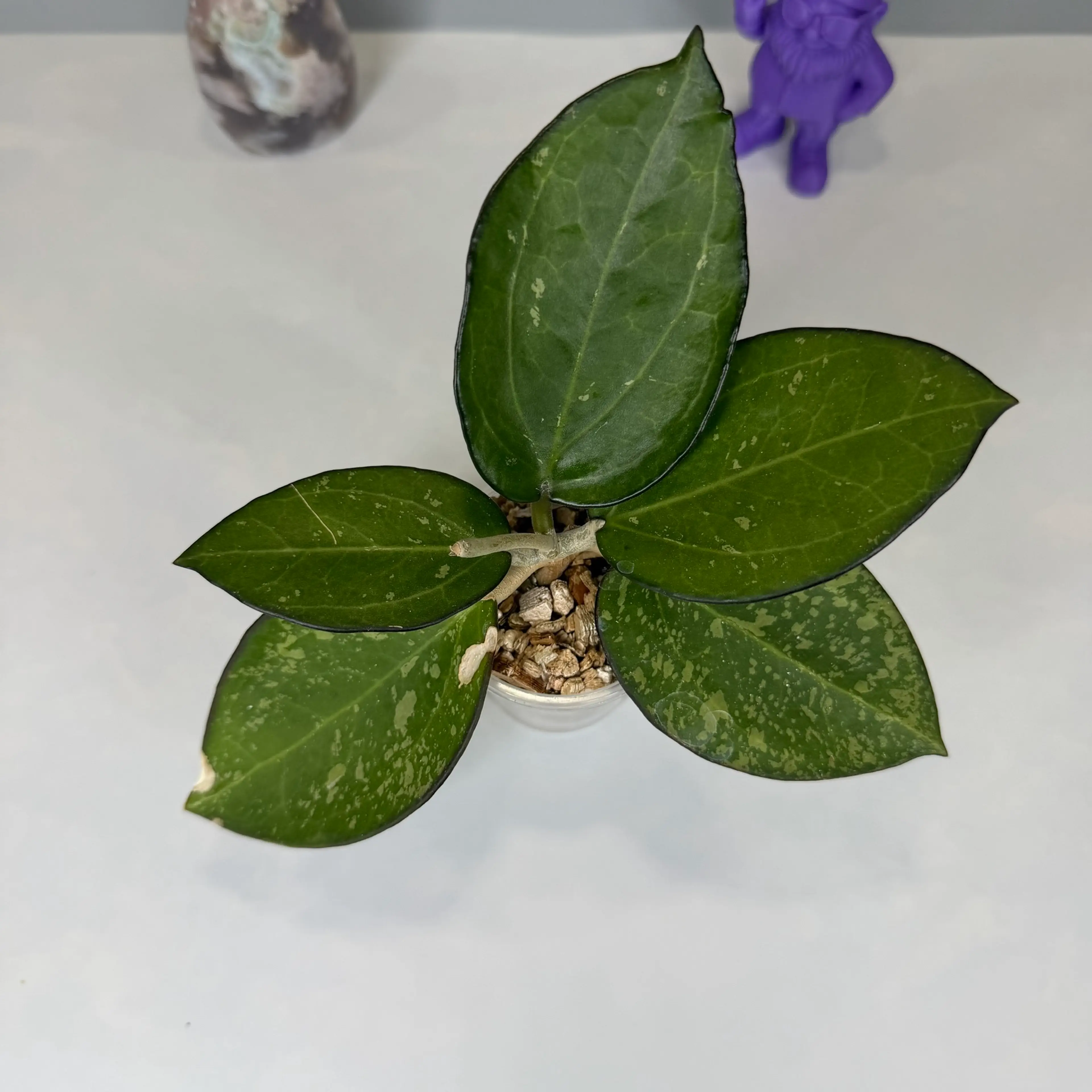 Image 2 of 2