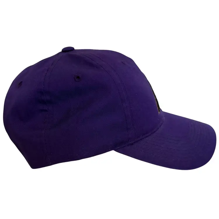 Vintage Arizona Diamondbacks MLB Purple Embroidered Snapback by Outdoor Cap