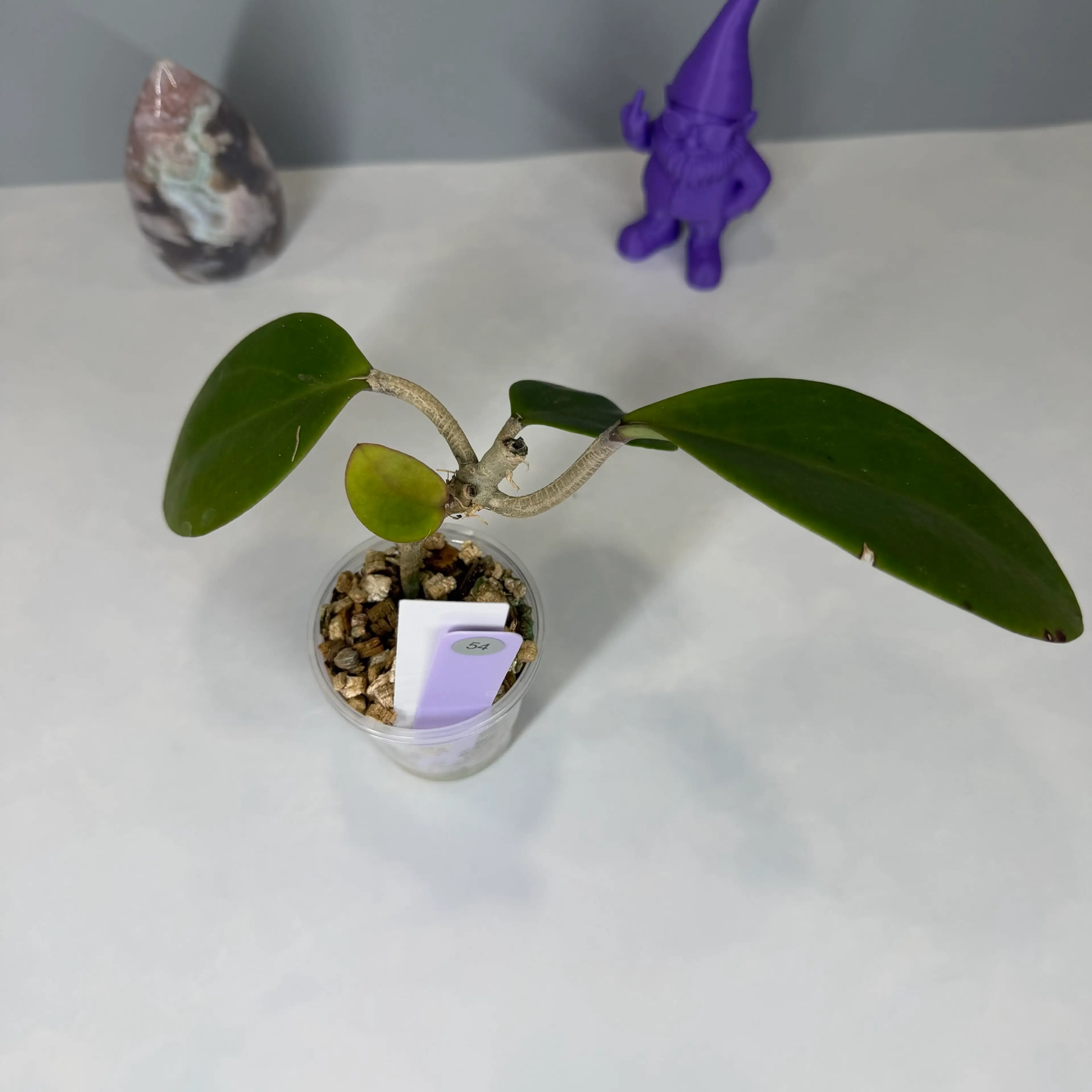 Image 3 of 3