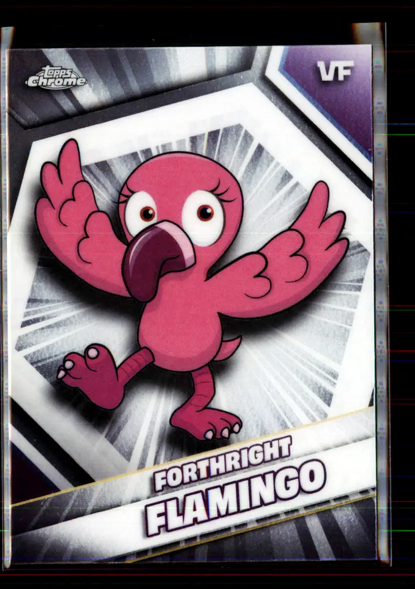 Forthright Flamingo 2026 Topps Chrome VeeFriends 79 - (143)