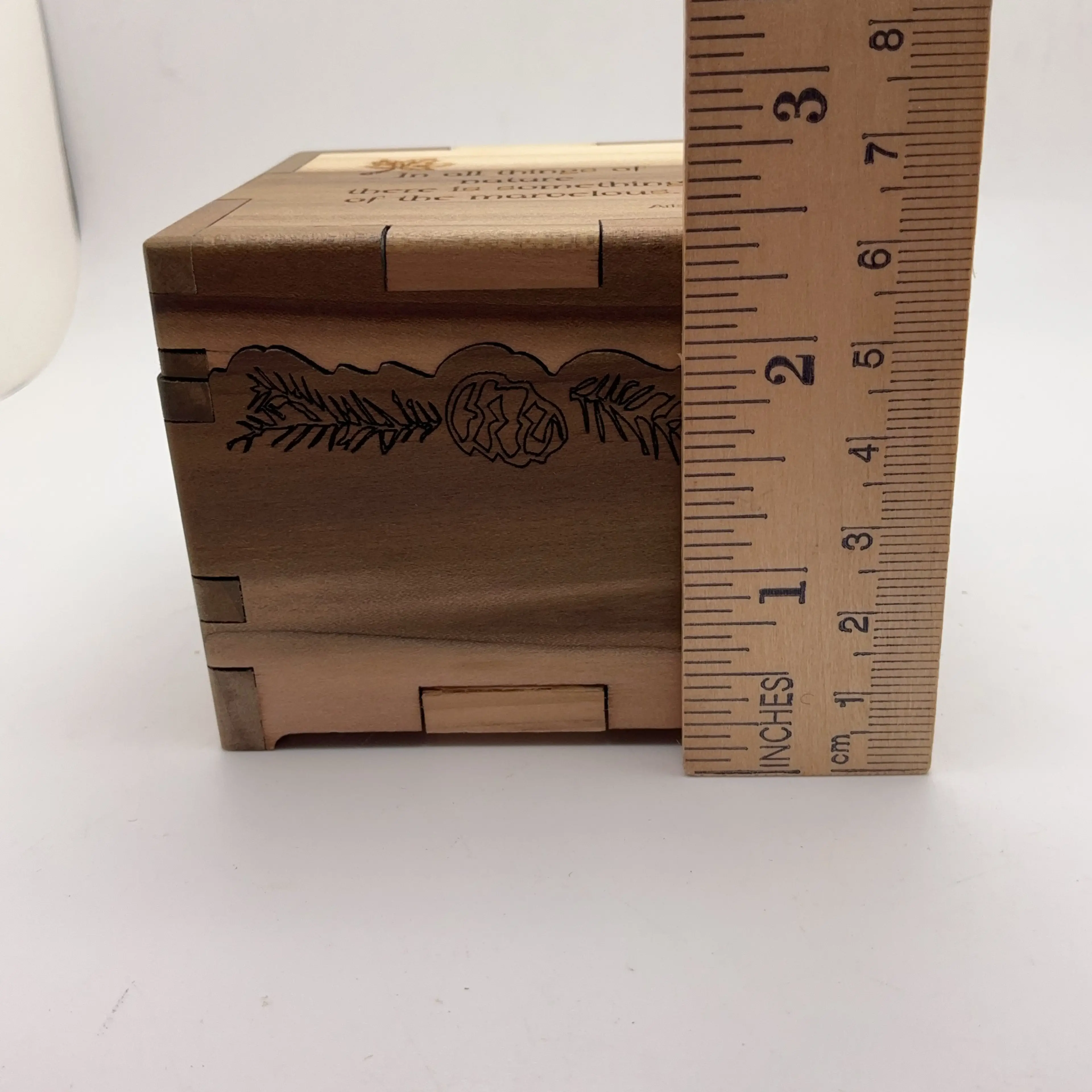 Image 5 of 5