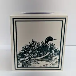 Vintage Duck Tissue Box Cover Plastic Green Image on Cream Grandmacore Cabin Decor