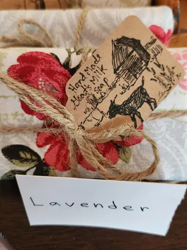 You've Goat Mail! All Natural Handmade Goats Milk Soaps (choice) with knick-knacks