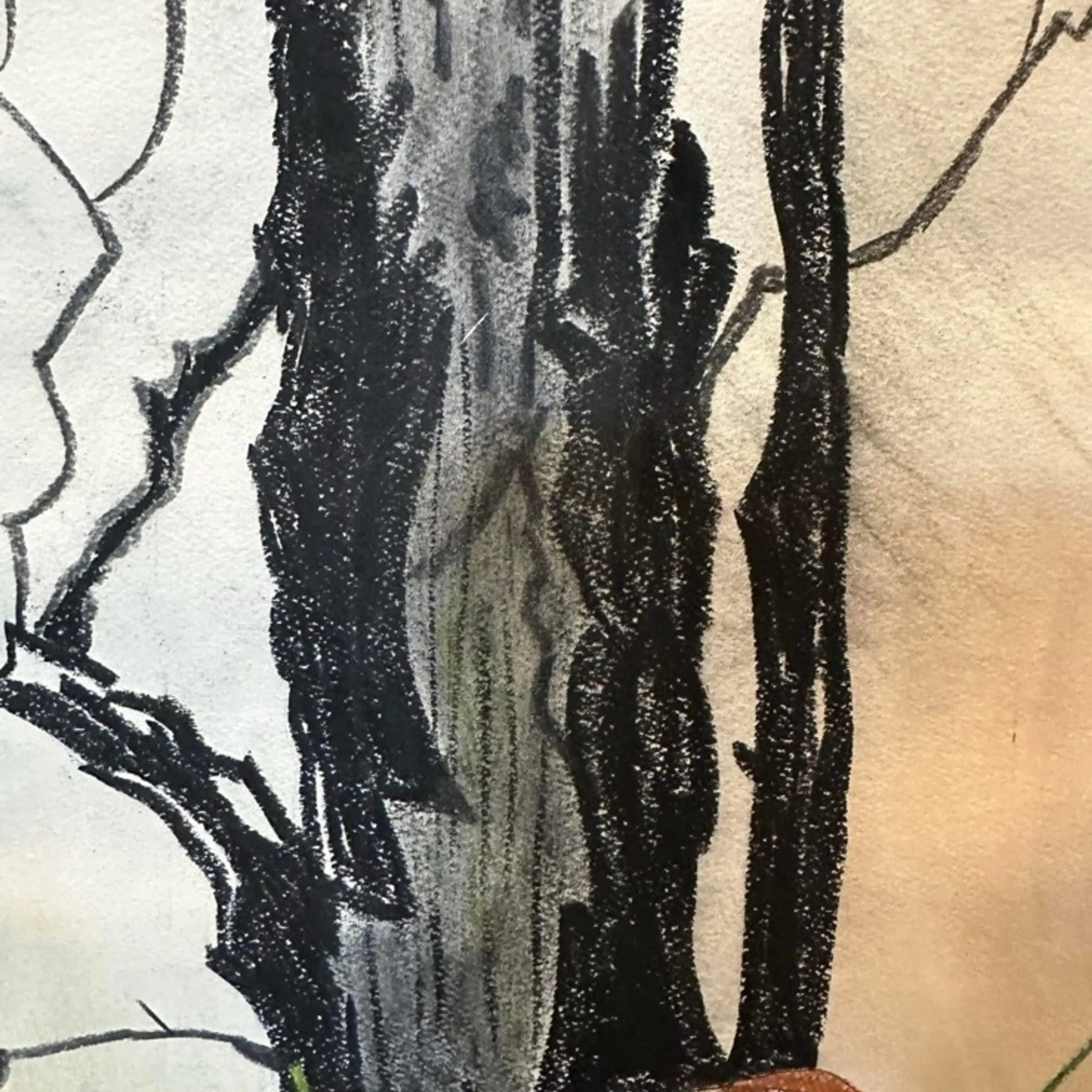 Image 3 of 6