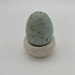 Robins Egg & Nest Salt & Pepper Shaker Set