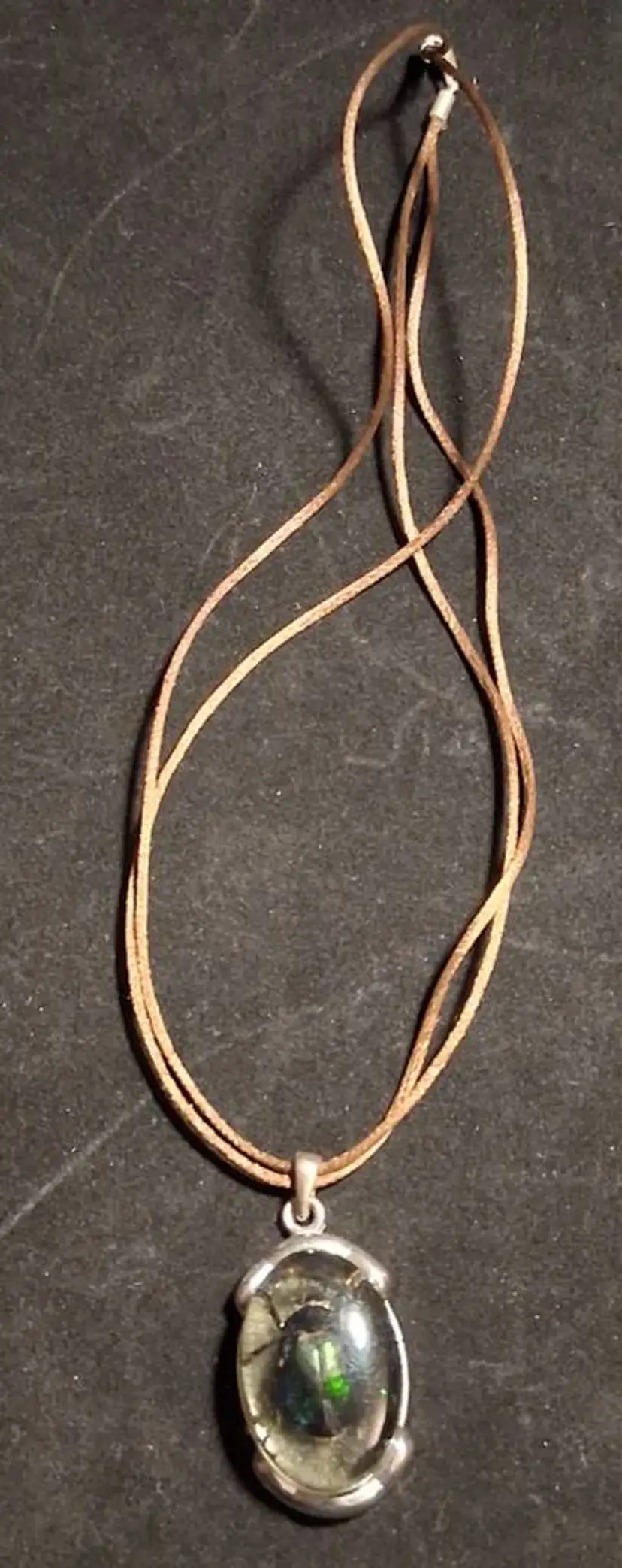 Brown Satin Cord, Real Jewel Beetle In Resin Necklace, with Viewable Back