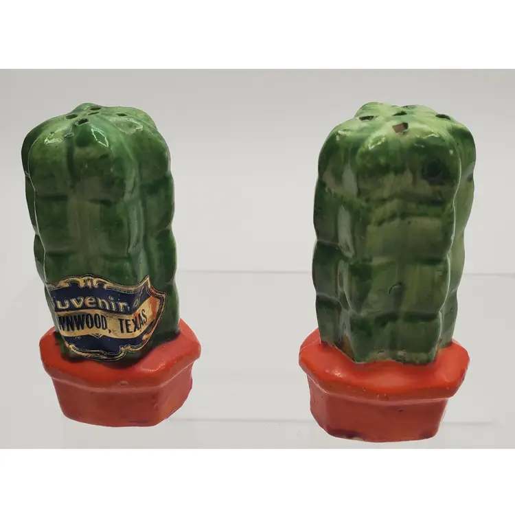 Vintage Souvenir Cactus Salt and Pepper Shakers from Brownwood, Texas