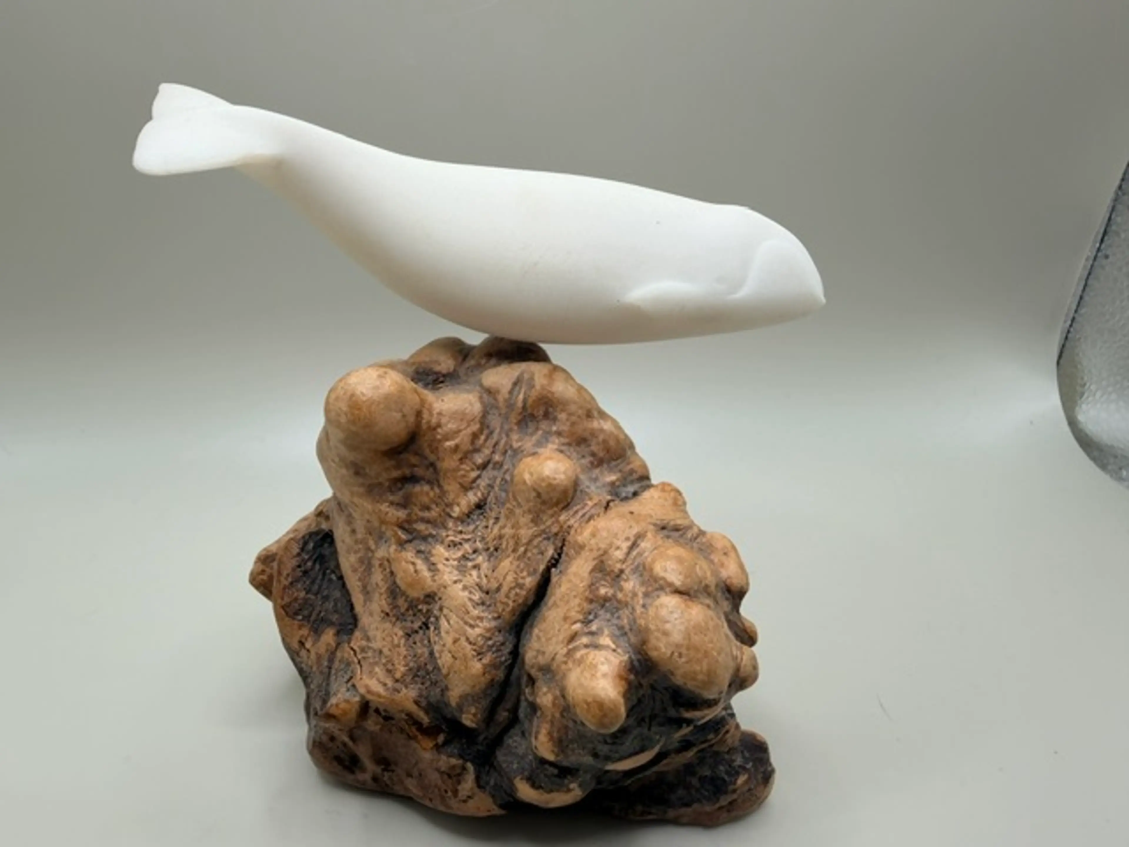Image 4 of 5