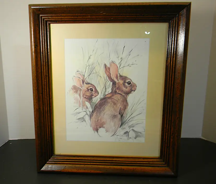 Bunny Rabbit Cotton Tail in the Wild  by Paul Whitney Hunter