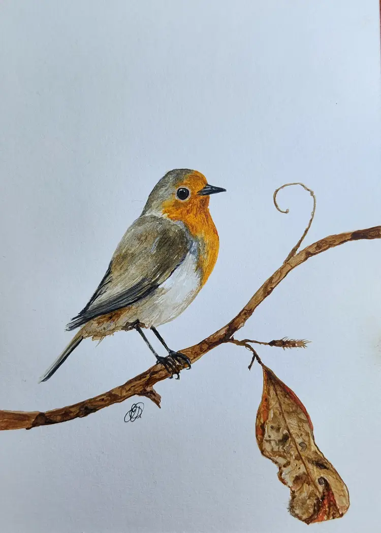 English Robin Original Watercolor Painting Signed By The Artist 5x7 Free Shipping