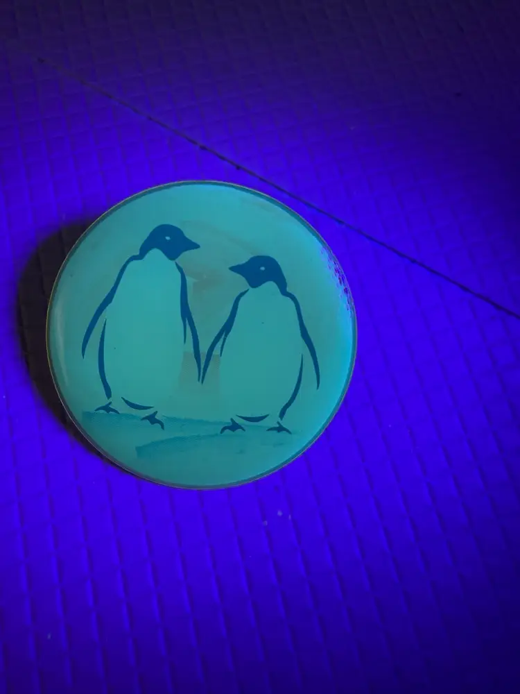 Pin Of Penguins  UV Reaction