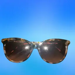 Longchamp Sunglasses NWOT