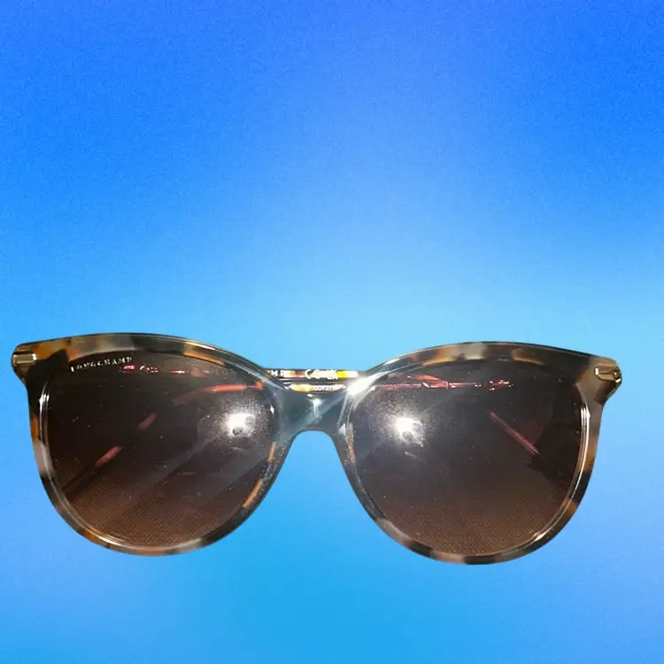 Longchamp Sunglasses NWOT