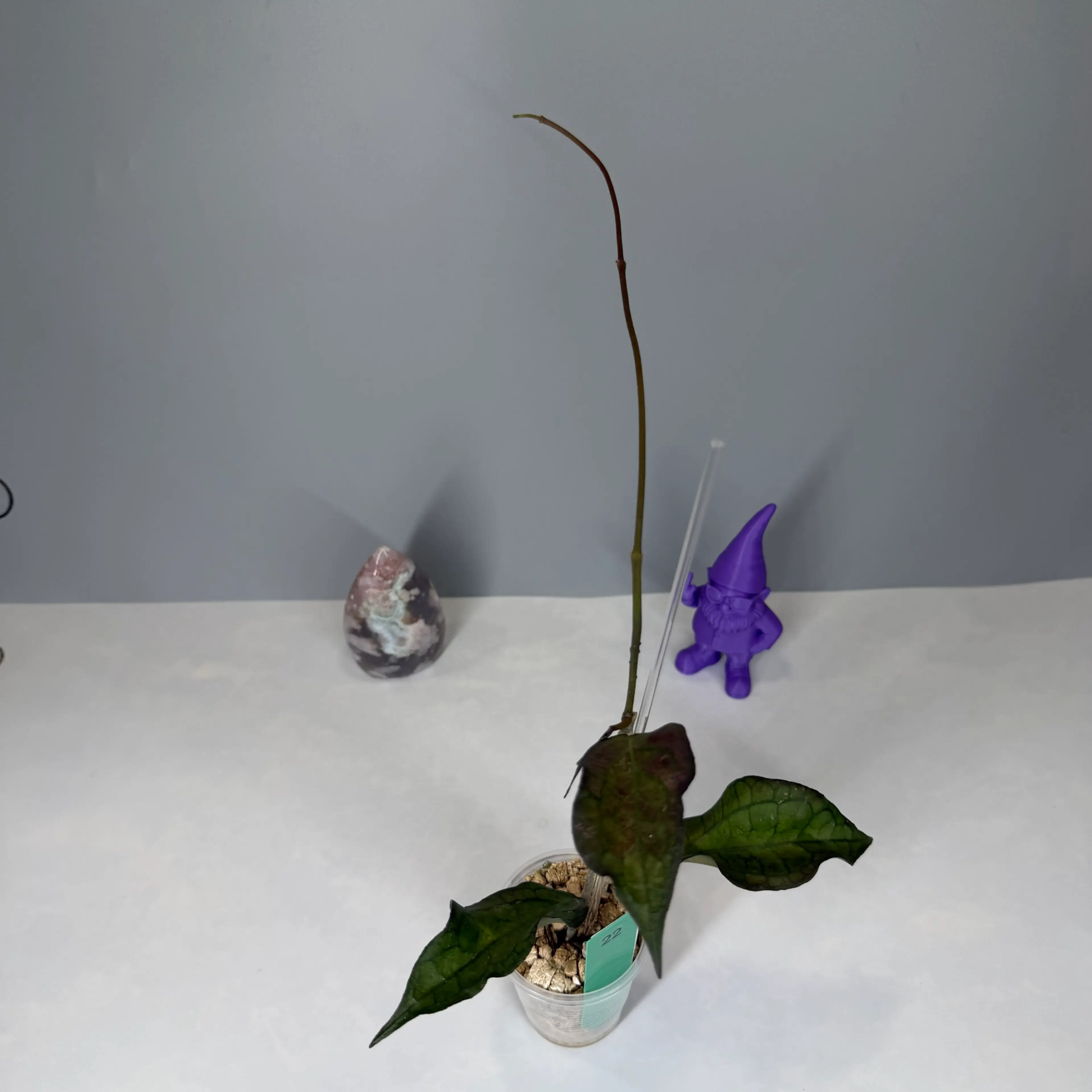 Image 3 of 4