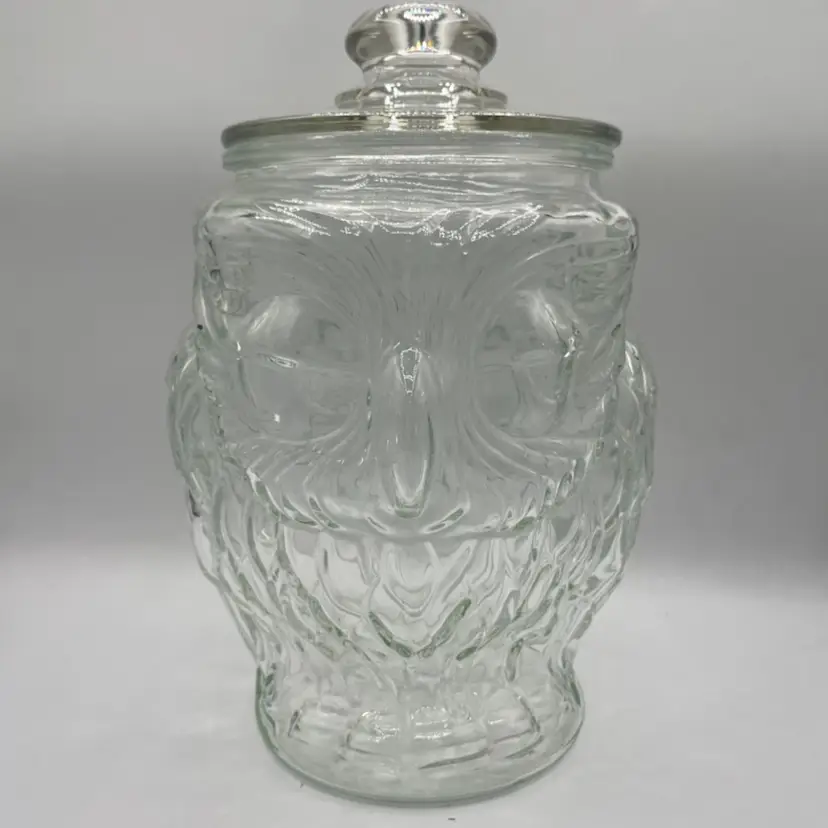 Large Vintage Libbey Wise Owl Cookie Jar Clear Glass MCM 1970s