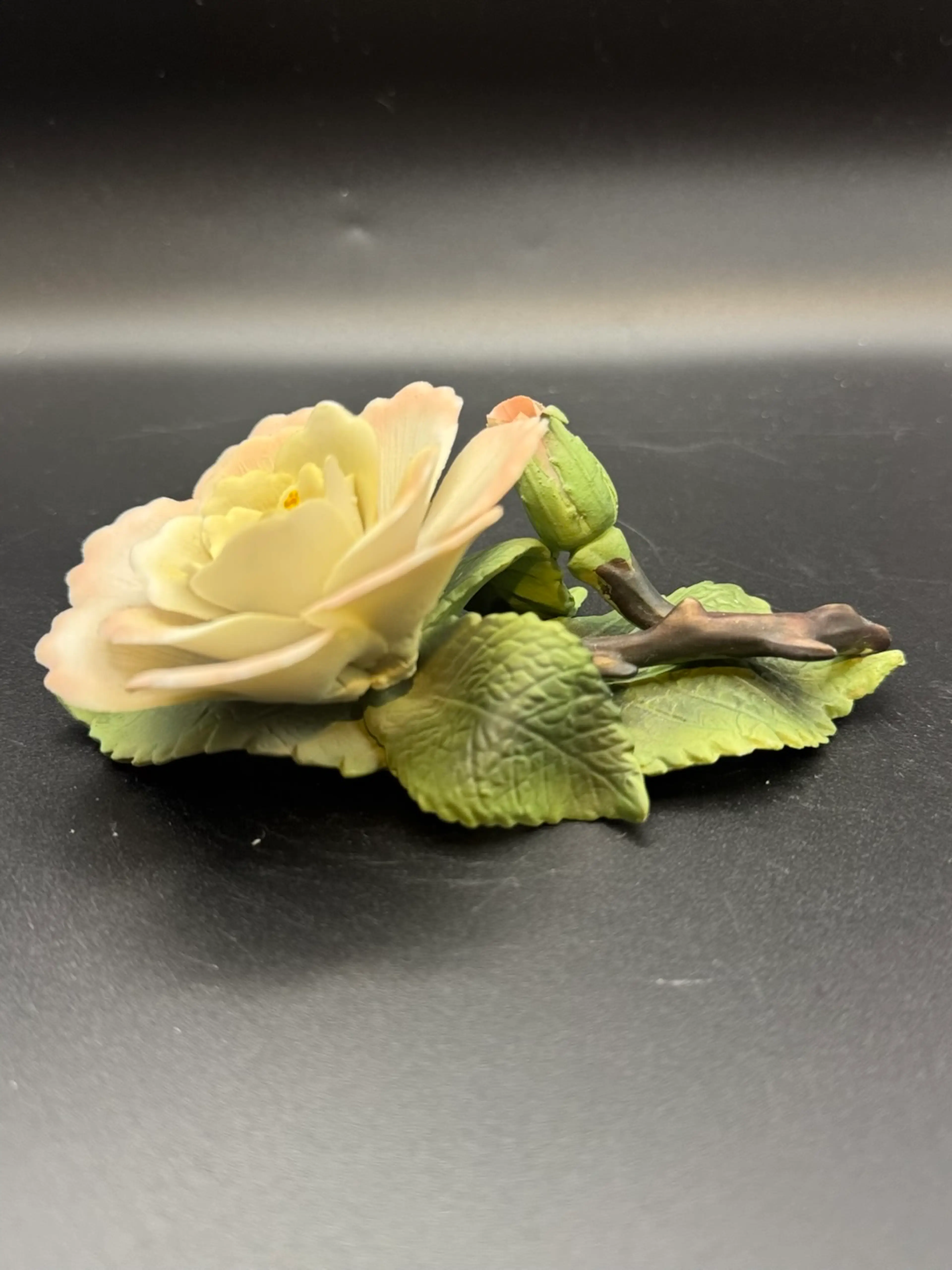 Image 3 of 6