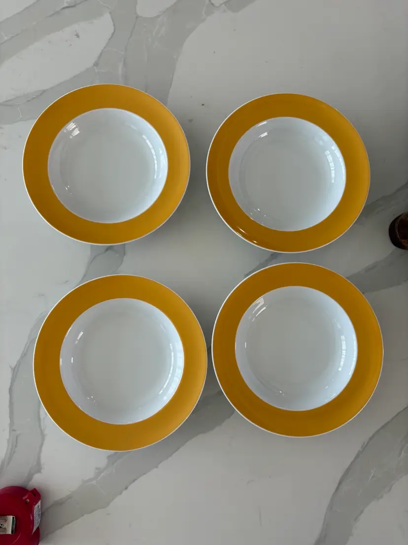 Rosethal Thomas Sunny Day Soup Plates Set Of 4