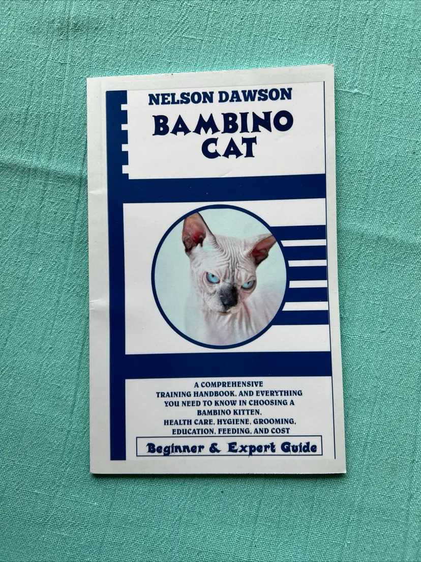 Bambino Cat Beginner & Expert Guide