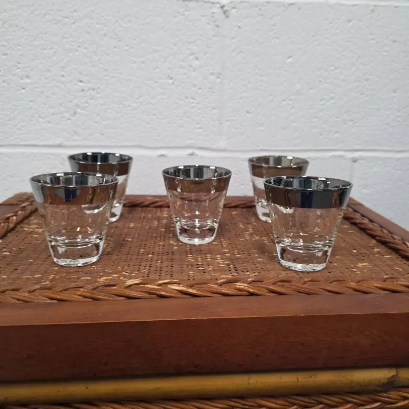 Vintage Dorothy Thorpe Silver Rim Shot Glasses Set of 5 MCM (QU)