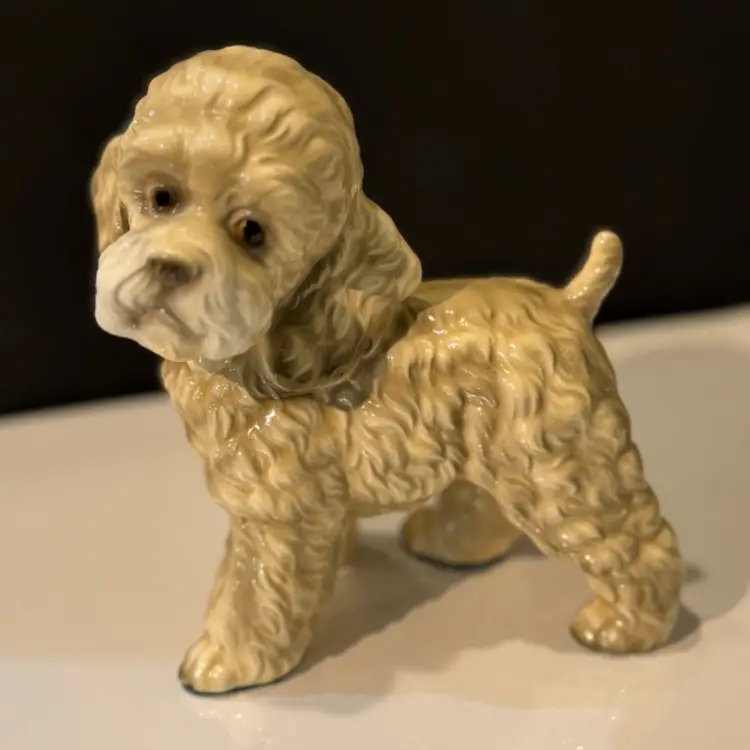 Vintage 1950s Poodle 🐩