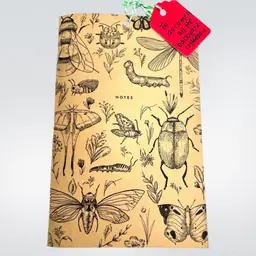 Insects Bugs Nature Science. Brown Paper Blank Field Notes Journal 8” x 5” Notebook. Bees 🐝 Dragonflies Moths Caterpillars 🐛 Beetles 🪲 Butterflies 🦋