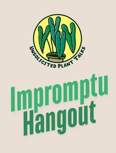 Come Figure Out These Lights With Me