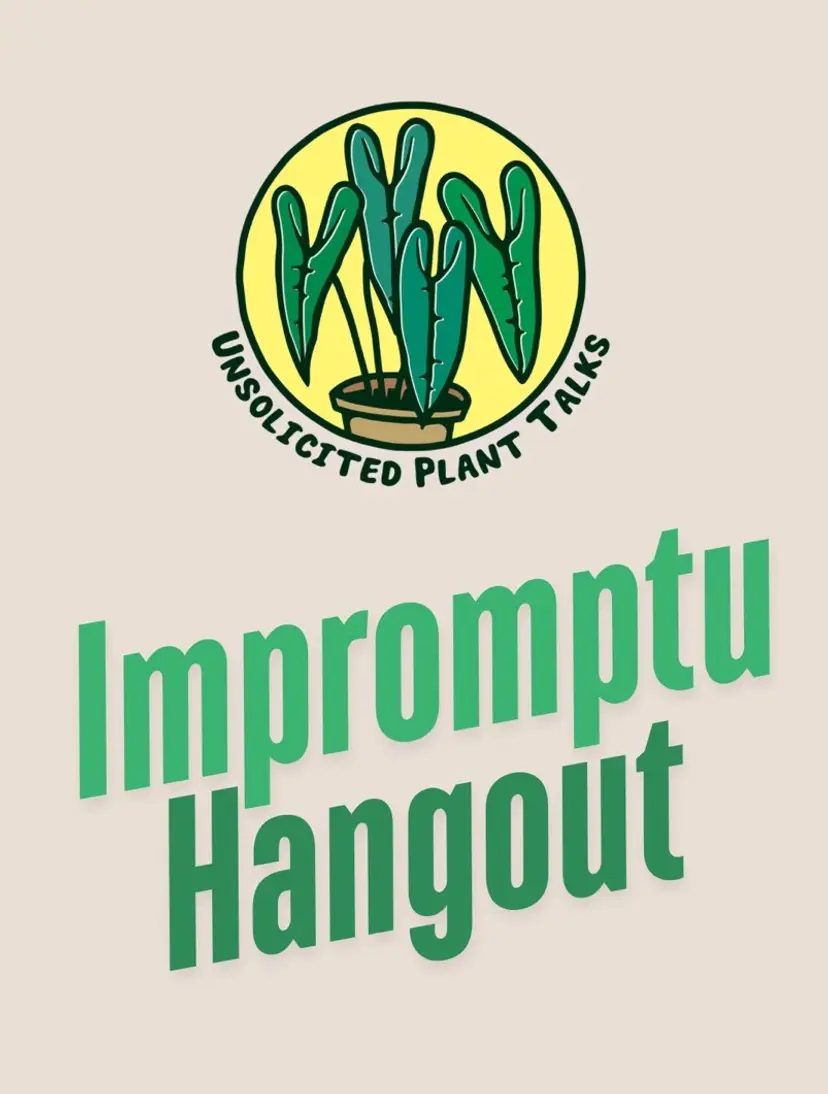 Livestream thumbnail