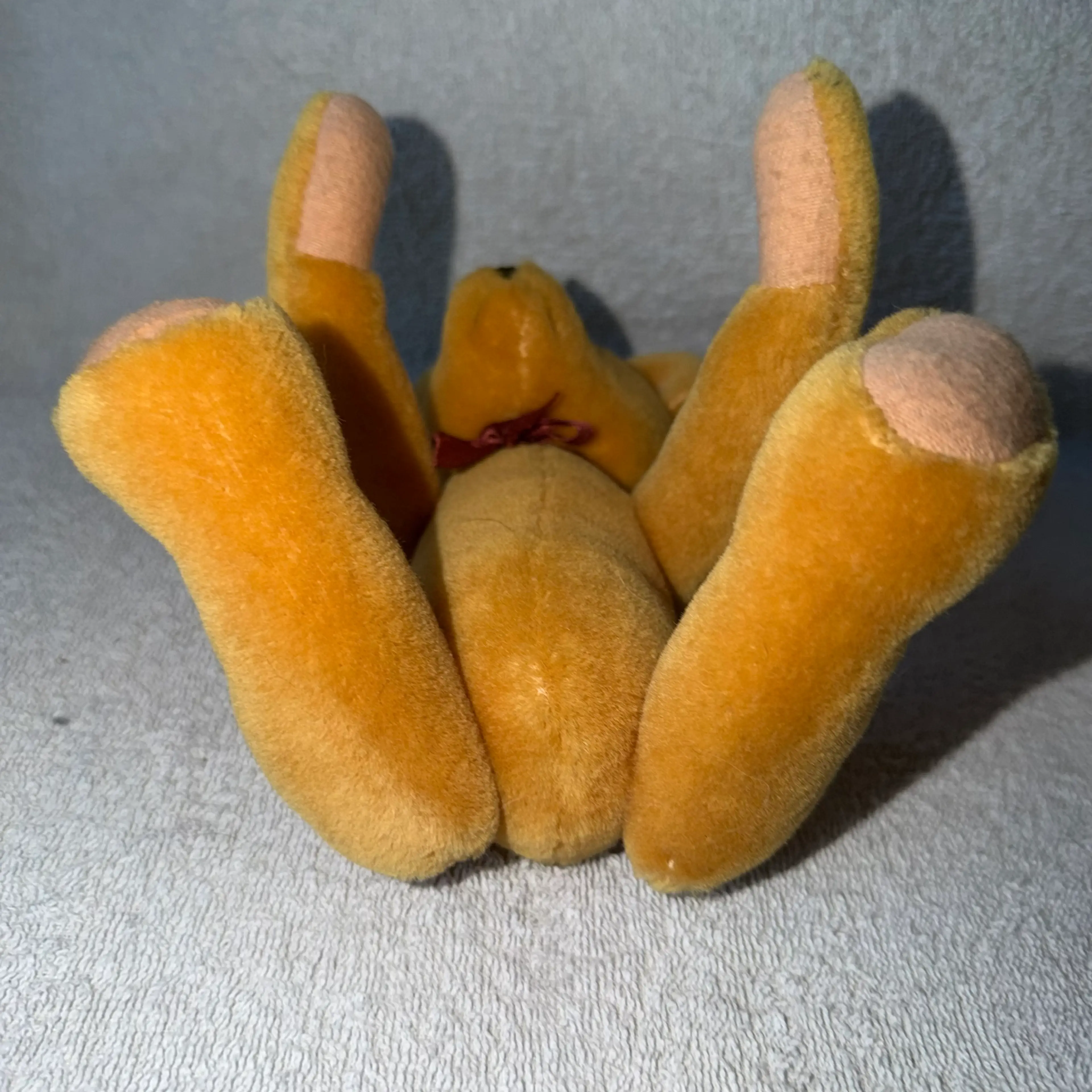 Image 5 of 6