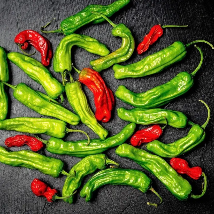Shishito Pepper vegetable seeds