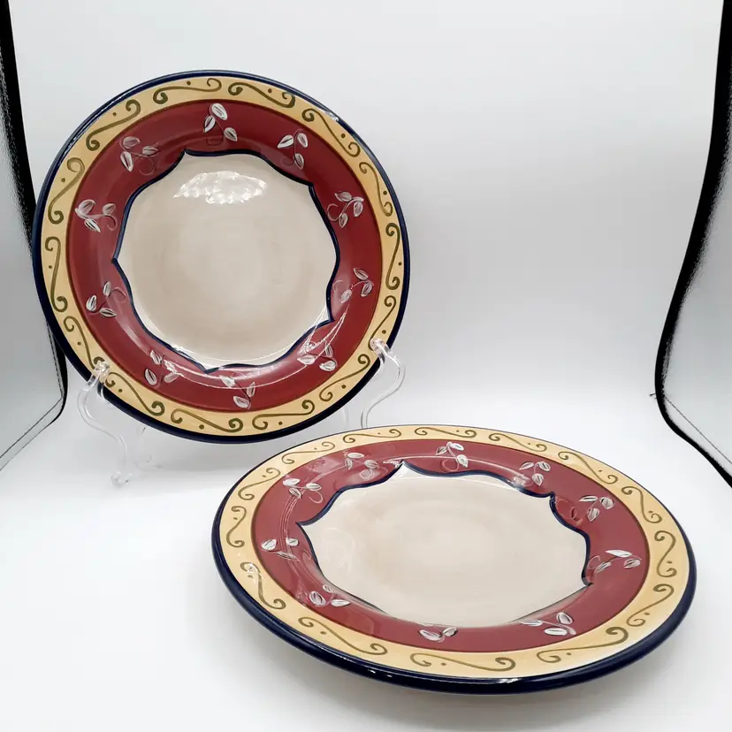 Pier 1 Vallarta Dinner Plates Set of 2