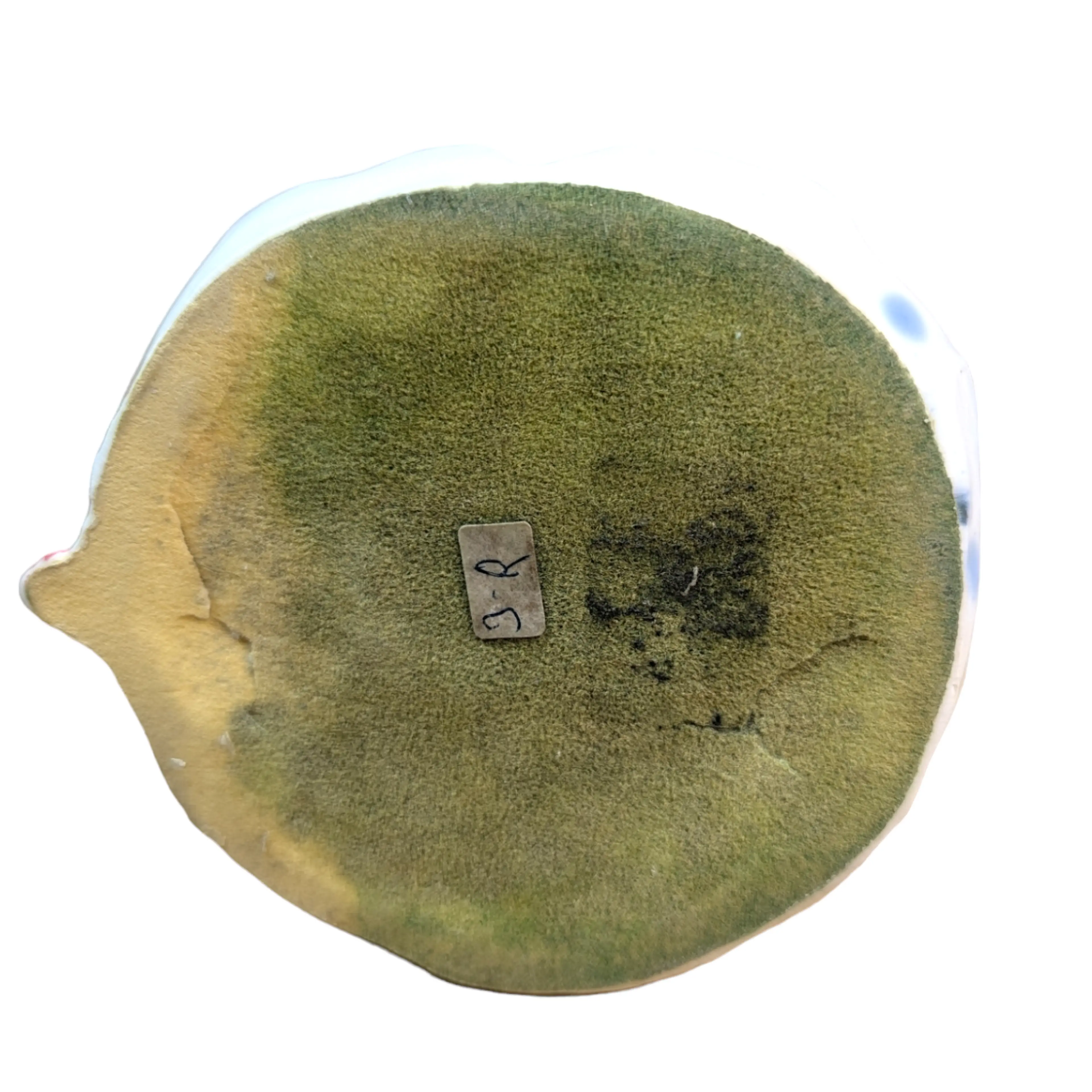 Image 5 of 5