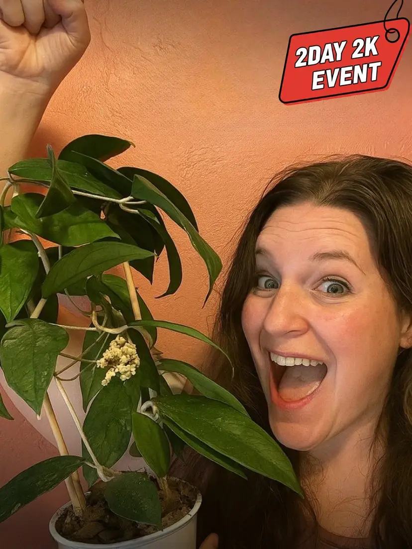 Livestream thumbnail