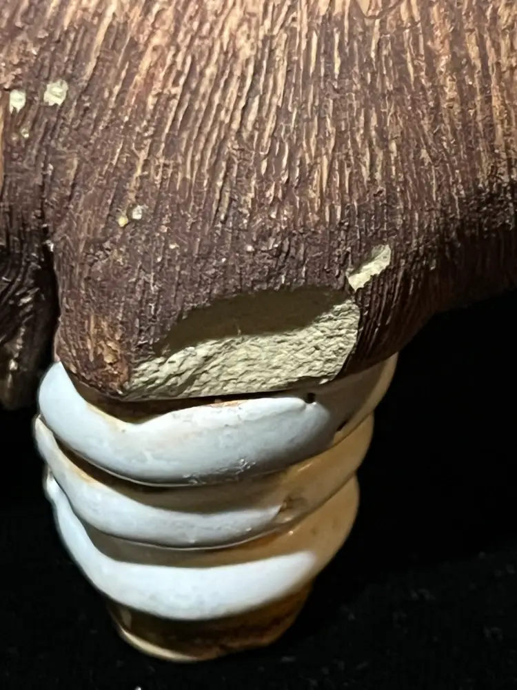 #3228 - Rinconada Spectacle Bear Condition Issue