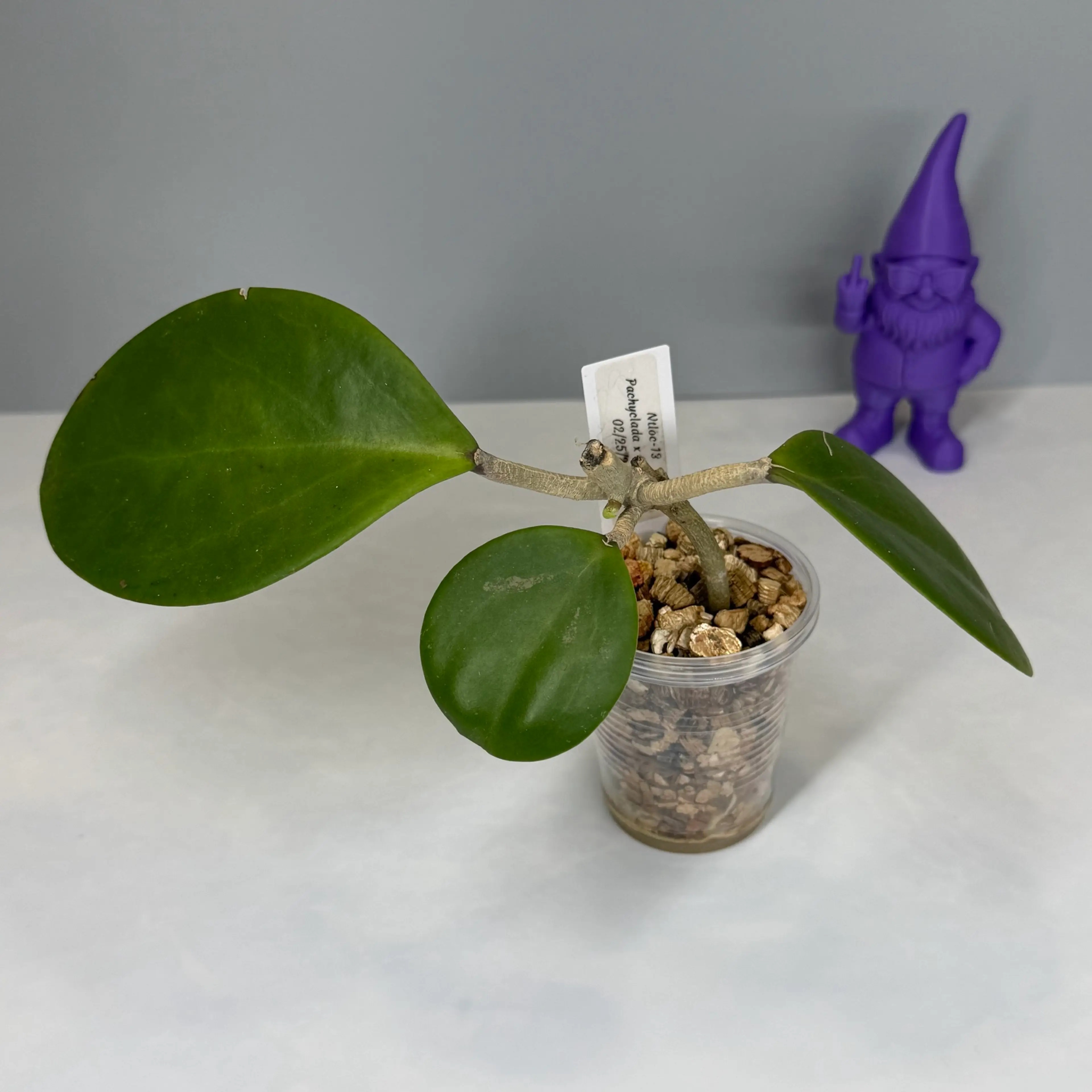 Image 1 of 3