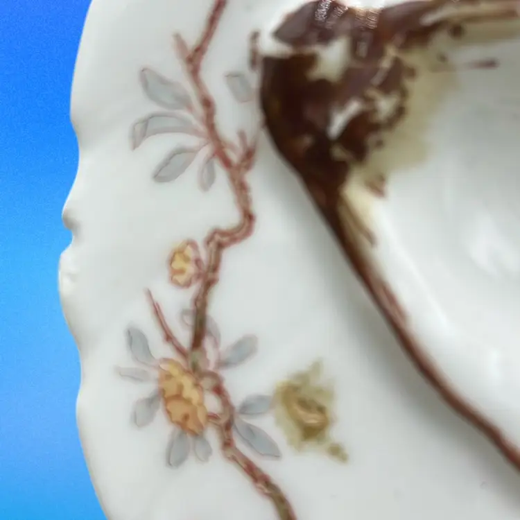 Antique Haviland & Co. Limoges porcelain oyster plate with floral decoration.
