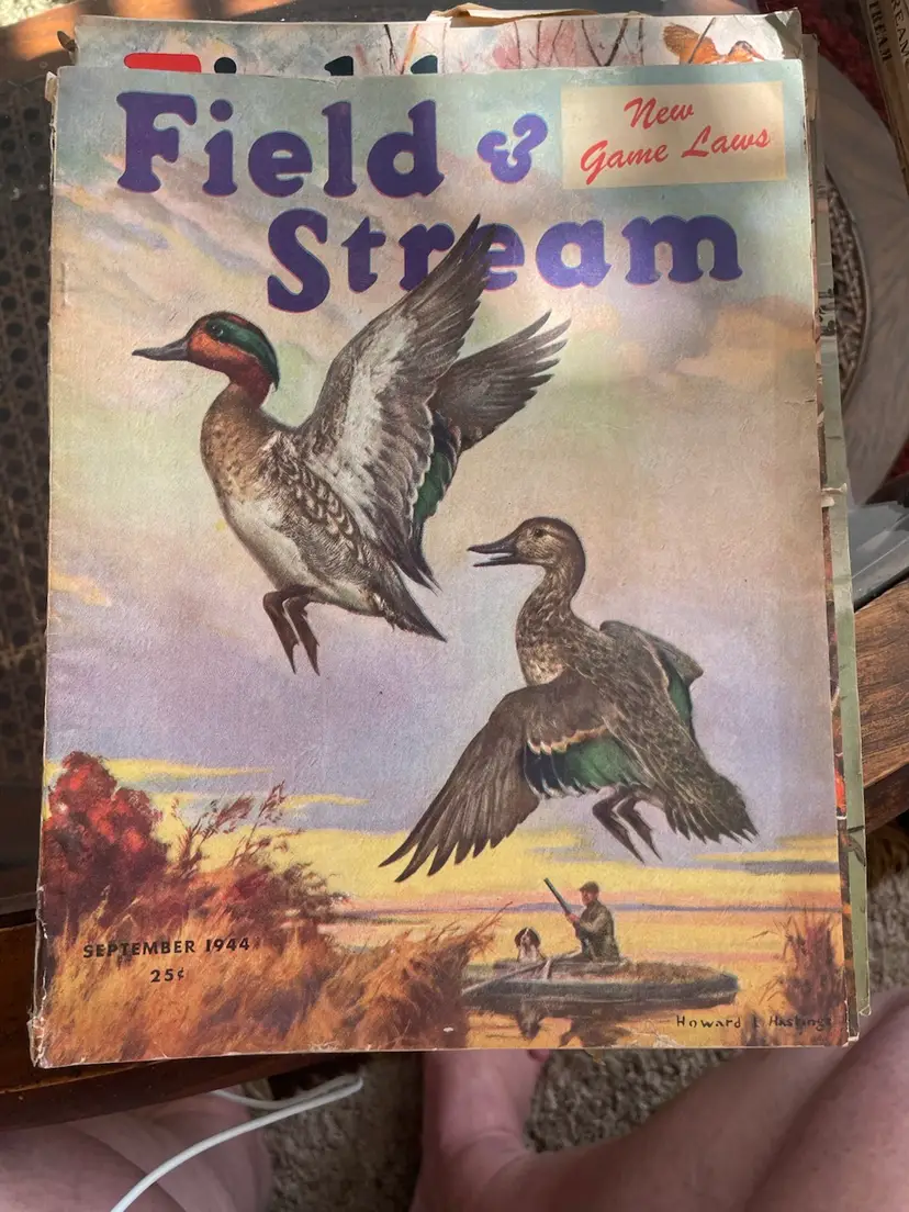 Field & Stream September 1944 Issue Cover Painting By Howard L. Hastings