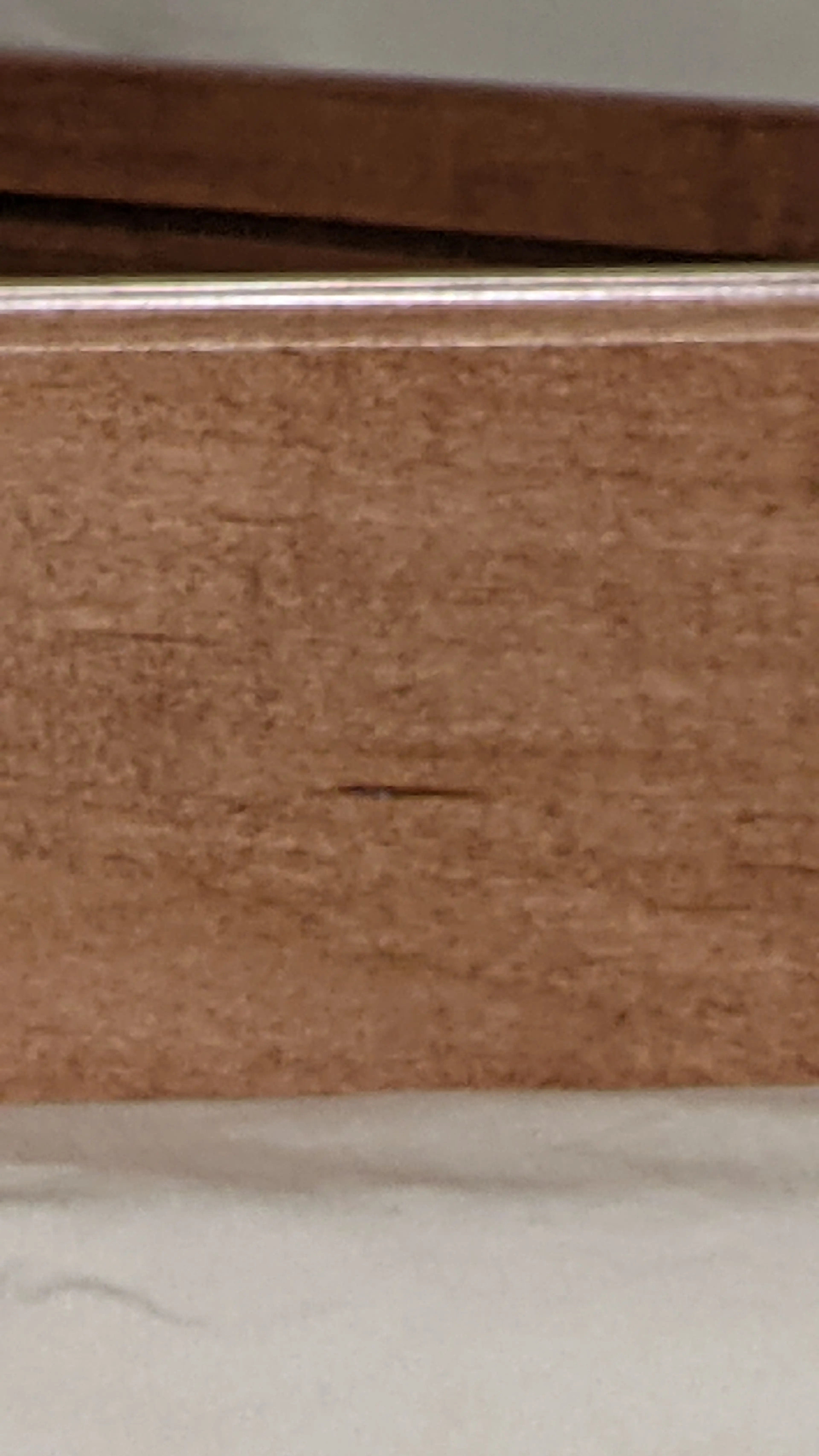 Image 3 of 4