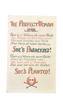 ANTIQUE THE PERFECT WOMAN ANTI-FEMINIST MISOGYNIST SEXIST ANTI-WOMAN POSTCARD