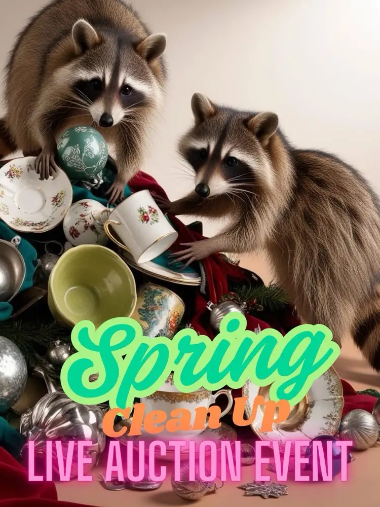 Spring Clean Up Kats Treasures 
