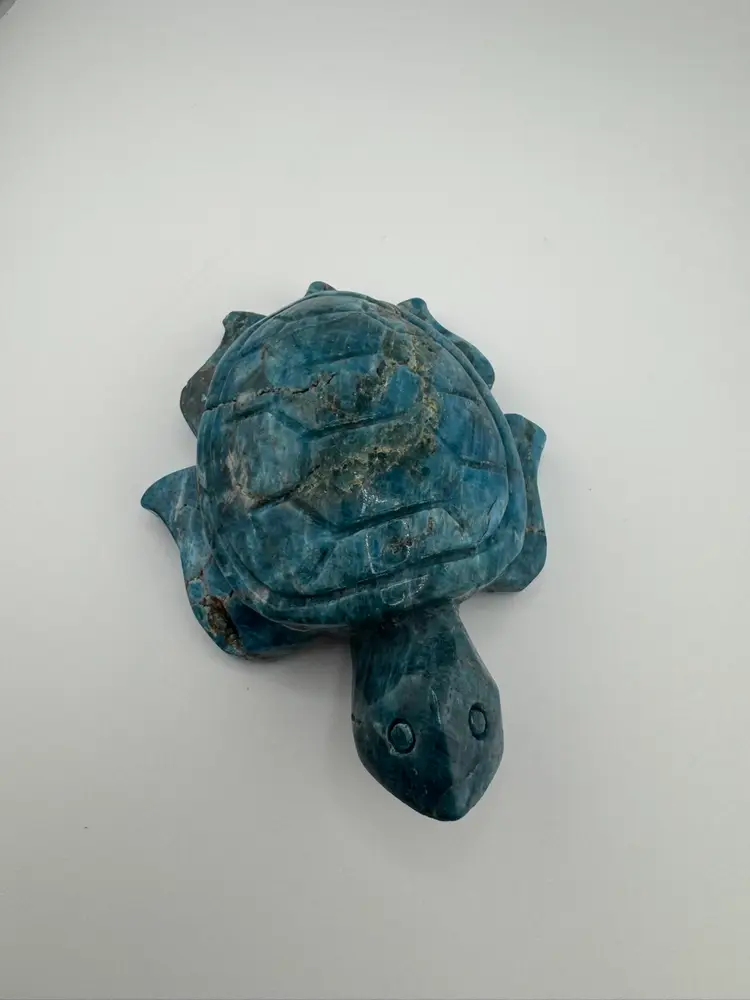 Blue Apatite Sea Turtle
